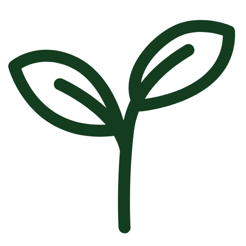 Greenhouse interior showing ventilation and irrigation system