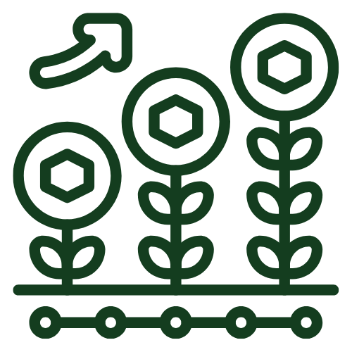 Greenhouse interior showing ventilation and irrigation system