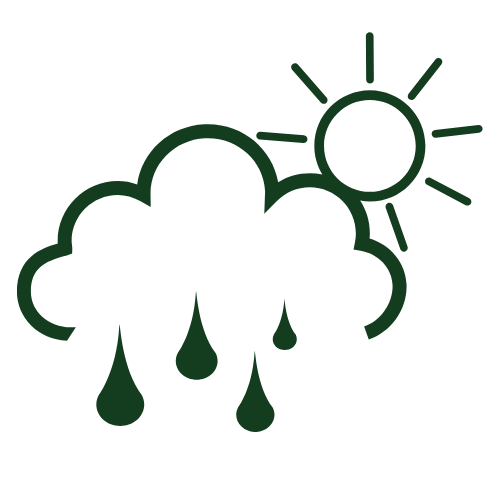 Greenhouse interior showing ventilation and irrigation system