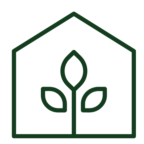 Greenhouse interior showing ventilation and irrigation system