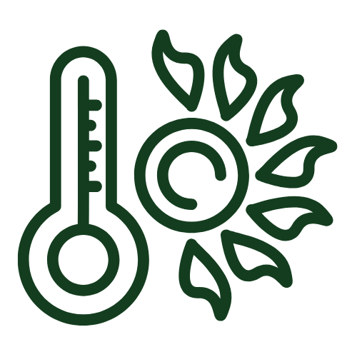 Greenhouse interior showing ventilation and irrigation system