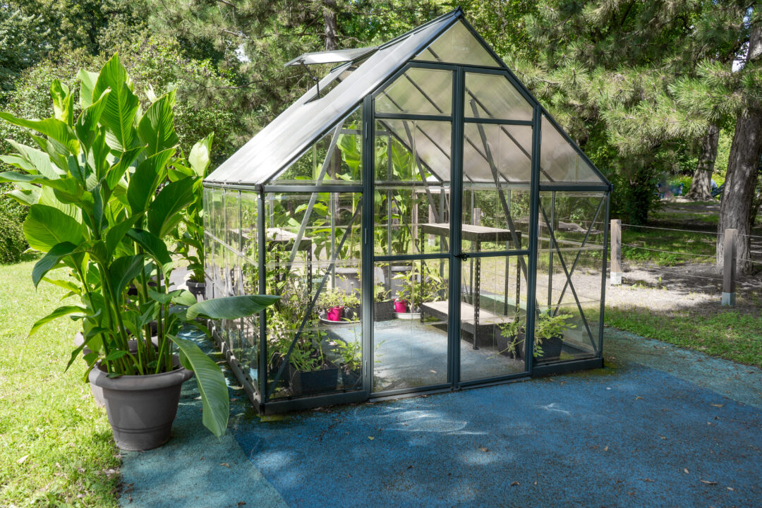 Greenhouse in the garden. Glass small compact greenhouse for growing flowers, vegetables, seedlings of various plants. Gardening. Beautiful glass building house in yard. Hobby no dig.