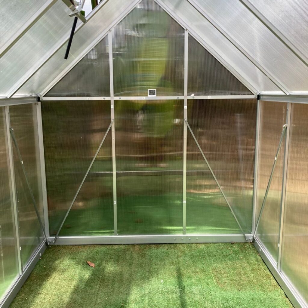 Green house inside view from front